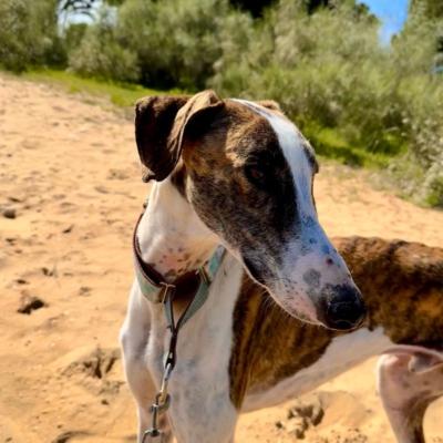 PHOTO-2025-12-24-14-27-26 5