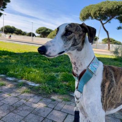 PHOTO-2025-12-24-14-27-26 6