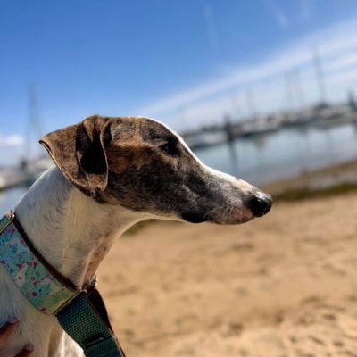 PHOTO-2025-12-24-14-27-27 2