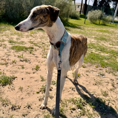 PHOTO-2025-12-24-14-27-27 3