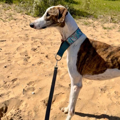 PHOTO-2025-12-24-14-27-27 4