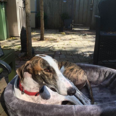 PHOTO-2025-12-24-14-27-27 5