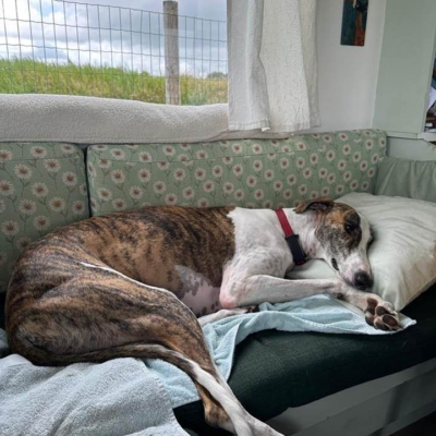 PHOTO-2025-12-24-14-27-27 6