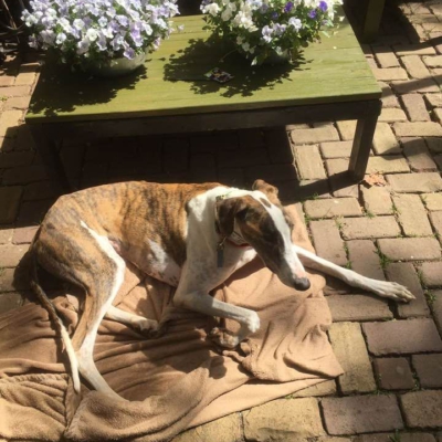 PHOTO-2025-12-24-14-27-29