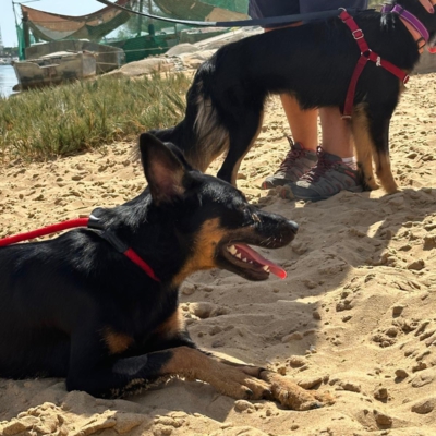 PHOTO-2025-12-25-12-12-24 3