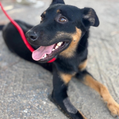 PHOTO-2025-12-25-12-12-24