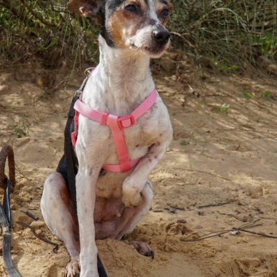 PHOTO-2025-12-30-09-40-03 2