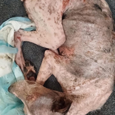 PHOTO-2025-12-30-09-40-03