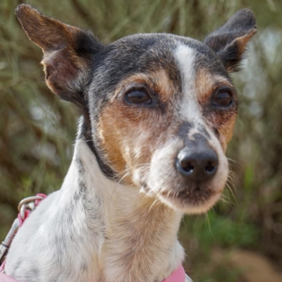 PHOTO-2025-12-30-09-40-04 3