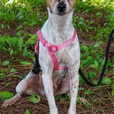 PHOTO-2025-12-30-09-40-04 4