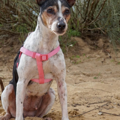 PHOTO-2025-12-30-09-40-05 2