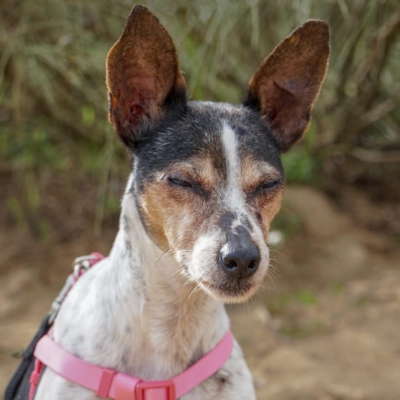 PHOTO-2025-12-30-09-40-05 3