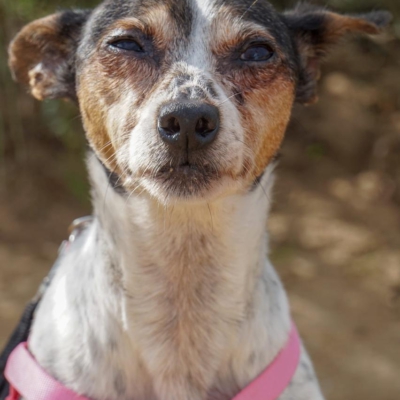 PHOTO-2025-12-30-09-40-05 4