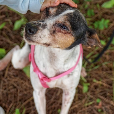 PHOTO-2025-12-30-09-40-05 5