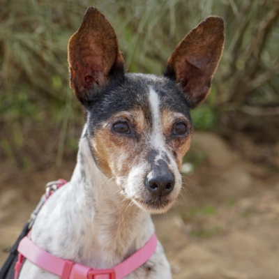 PHOTO-2025-12-30-09-40-05 6