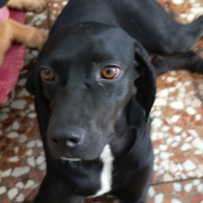 PHOTO-2025-12-30-09-42-24 2