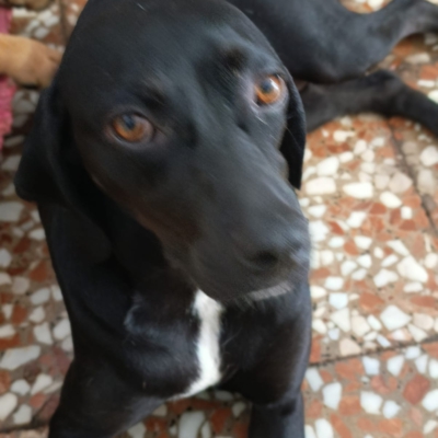 PHOTO-2025-12-30-09-42-24 3