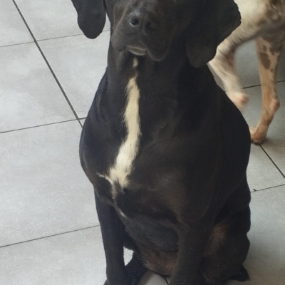 PHOTO-2025-12-30-09-42-24 4