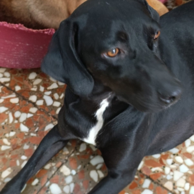 PHOTO-2025-12-30-09-42-24