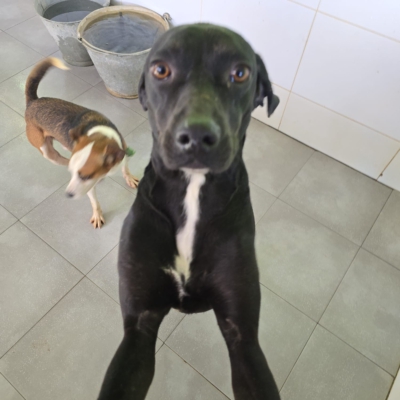 PHOTO-2025-12-30-09-42-24 5