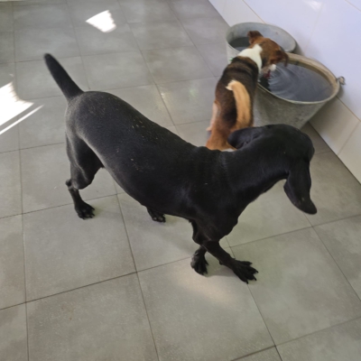 PHOTO-2025-12-30-09-42-24 6