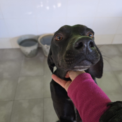 PHOTO-2025-12-30-09-42-24 8