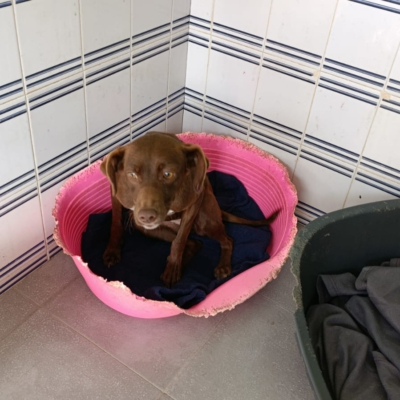 PHOTO-2025-12-30-10-31-40 2