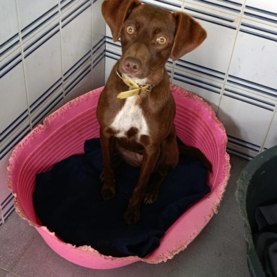 PHOTO-2025-12-30-10-31-40 3