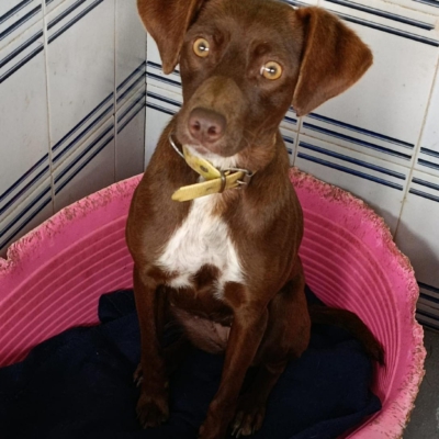 PHOTO-2025-12-30-10-31-40