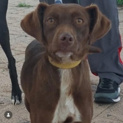 PHOTO-2025-12-30-10-33-13 2