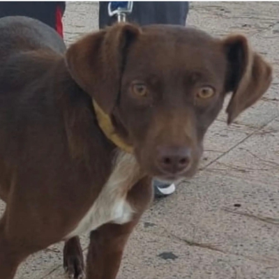 PHOTO-2025-12-30-10-33-13