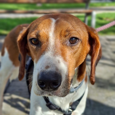 PHOTO-2025-12-30-11-48-46