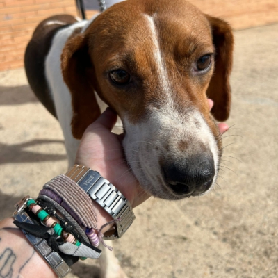 PHOTO-2025-12-30-11-48-47 2