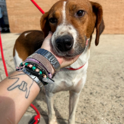 PHOTO-2025-12-30-11-48-47 3