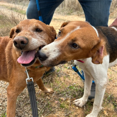 PHOTO-2025-12-30-11-48-47