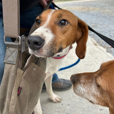 PHOTO-2025-12-30-11-48-47 6