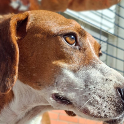 PHOTO-2025-12-30-11-48-48 2