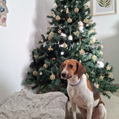 PHOTO-2025-12-30-11-48-48 3