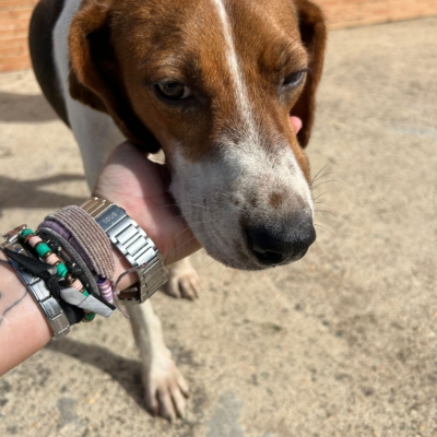 PHOTO-2025-12-30-11-48-48 4