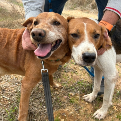 PHOTO-2025-12-30-11-48-48