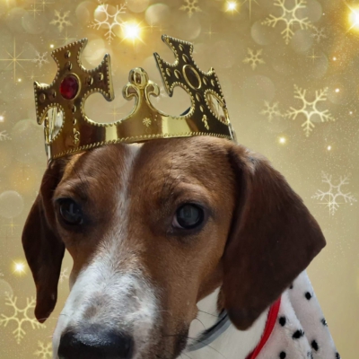 PHOTO-2025-12-30-11-48-48 5