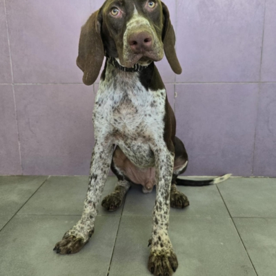 PHOTO-2025-12-31-08-03-47 3