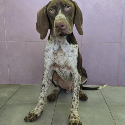 PHOTO-2025-12-31-08-03-47 4