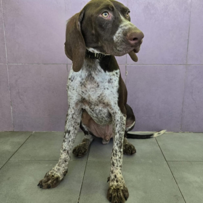 PHOTO-2025-12-31-08-03-47 5