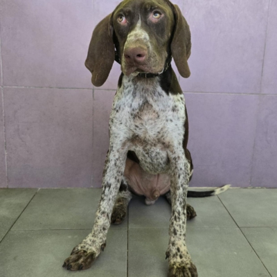 PHOTO-2025-12-31-08-03-47 6