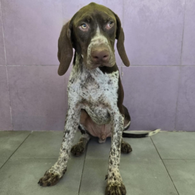 PHOTO-2025-12-31-08-03-47 7