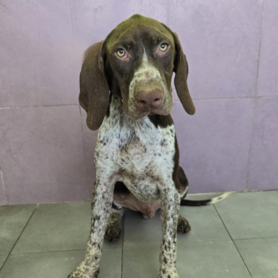 PHOTO-2025-12-31-08-03-47 8