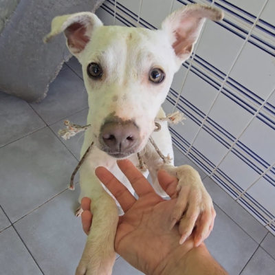 PHOTO-2025-12-31-08-27-46 3