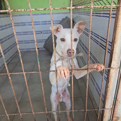 PHOTO-2025-12-31-08-27-46