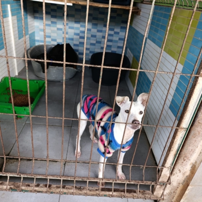 PHOTO-2025-12-31-08-27-46 6